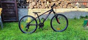 Horské kolo Specialized hotrock 24 - 2