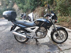 Honda CBF 250 - 2