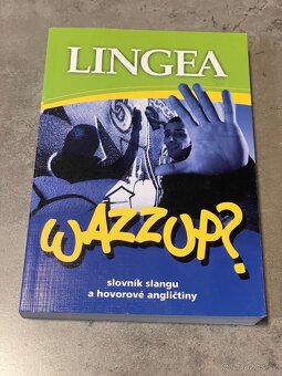 Wazzup? slovník slangu a hovorové angličtiny - 2