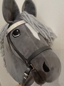 Hobby horse - 2