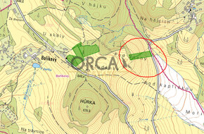 Boříkovy 4 890m2. - 2