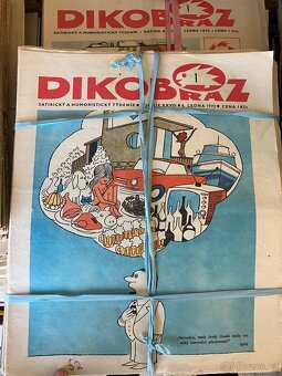 Dikobraz - 2