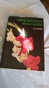 Velký obrazový atlas rostlin - 2