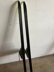 Prodám běžky Fischer 132cm+boty vel37 - 2