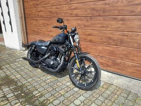 Harley-Davidson Xl883N Iron - 3