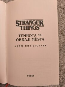 Stranger things: Temnota na okraji města - 3