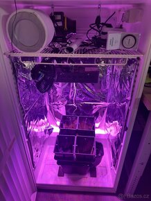 Nenápadný Growbox - aeroponie - 3