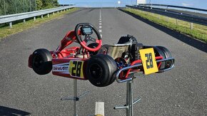 Školní dětská motokára 50 Birel ART - motor IAME - 3