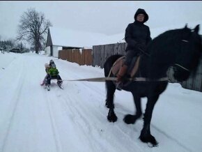 Postroj na skijoring lyžování koně - 3