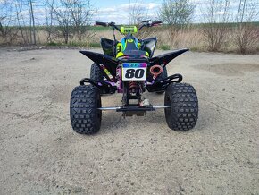 Yamaha raptor 250 r - 3