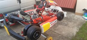 Motokara Birel ART EASYKART 60 - 3