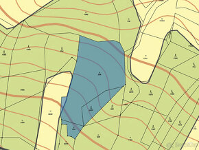 Prodej podílu 1/3 trvalého travního porostu 2706 m2 v obci N - 3