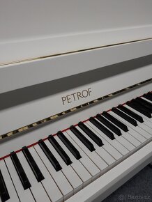 PETROF - 3