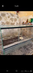 Terarium D50/Š30/V30 - 3