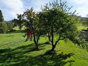 Prodej stavebniho pozemku 932 m2 Česká Ves, okres Jeseník - 3