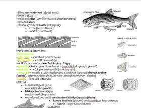 Maturitní otázky biologie - 3