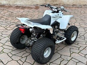 Yamaha Blaster 200 2008 - 3