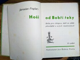 J. Foglar: Hoši od Bobří řeky. Ilustr. Zd.Burian. - 3