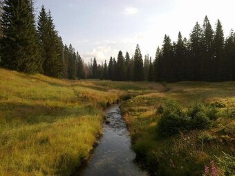 Šumava - Roklanský potok u chaty, orig. akvarel 60 x 40 - 3