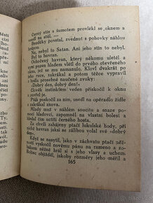 O lásce dvou - legendy a romance (Karel H. Vika) - 3