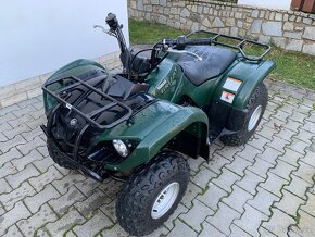 Yamaha Grizzly 125 - 3