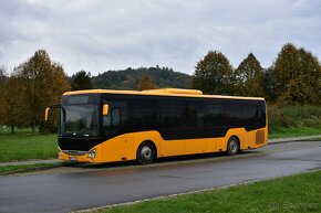 Řidič autobusu D - 200,-/hod čistého, celoročně - 3