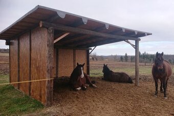 PASTEVNÍ USTÁJENÍ S KOMPLETNÍM ZÁZEMÍM A HALOU JIH PRAHY - 3