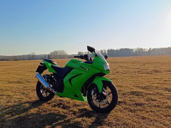 Kawasaki Ninja 250R - 3