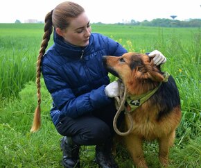 IGOR K ADOPCI- 1,5 ROKU, MILÝ,KONTAKTNÍ, VDĚČNÝ - 3