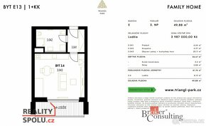 Prodej, byty/1+kk, 45 m2, Goldscheiderova 2950/7, Jižní Před - 3