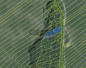 Prodej lesních pozemků v k.ú. Pitín o výměře 3127 m2 - 3