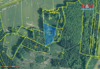 Prodej lesa, 20093 m², Skály - 3