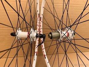 Kola REMERX XCO Rio 29 White, NOVATEC 711+772 - 1850g - 3