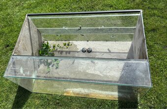 Terarium - 3