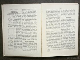 Prodej, Atlas minerálů, prof. Alexander Bernard 1907 - 3