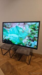 TV 65"(165cm) Panasonic - 3