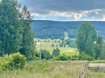 Stavební pozemek - Orlické záhoří (3001 m2) - 3