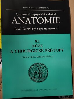 Anatomie Petrovický - 3