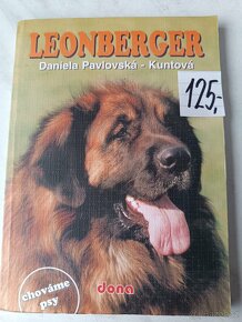 Čivava šarpej Leonberger Baset Dobrman - 3