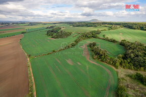 Prodej pole, 8272 m², Budyně nad Ohří - Vrbka. - 3