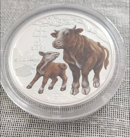 Stříbrná mince Lunar III Ox (rok buvola) barevná 2oz - 3
