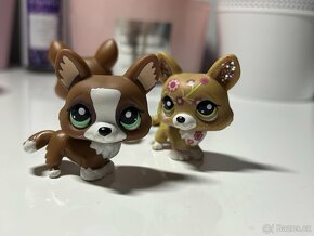 LPS corgi pejsek Littlest Pet Shop - 3