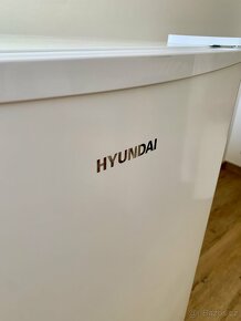 Nová lednice Hyundai - 3