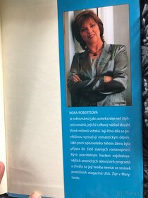 Půlnoční zátoka Nora Roberts - 3