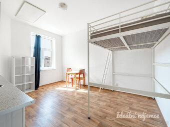Pronájem bytu 1+kk, Orelská, Vršovice,   25 m2 - 3