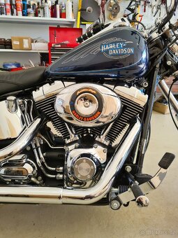 Harley Davidson Softail Custom 2009 - 3