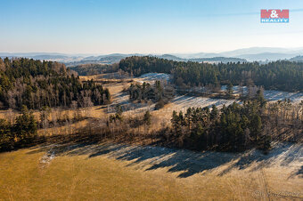 Prodej lesa, 7489 m², Čkyně - 3