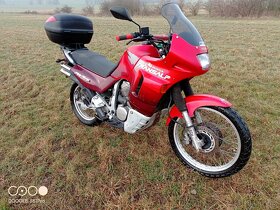 Honda Transalp XL 600V - 3