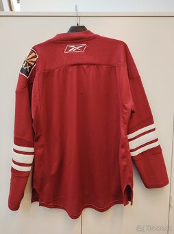 Dres Phoenix Coyotes - 3