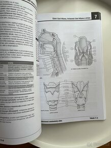 Netterův vybarvovací anatomický atlas - 3